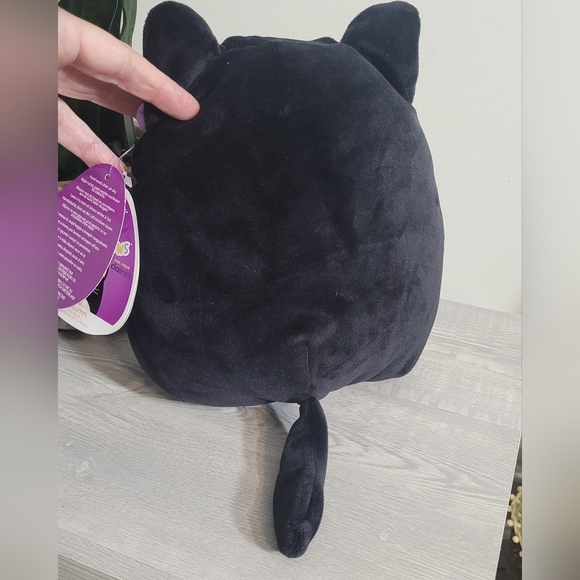 Squishmallow Claires Exclusive 8” Autumn Black Orange Halloween Cat Purple Bow - Picture 5 of 6